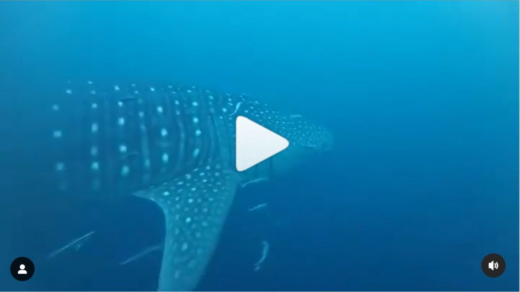 faf57370-23be-4eff-a8ce-a7af37aa2d0e