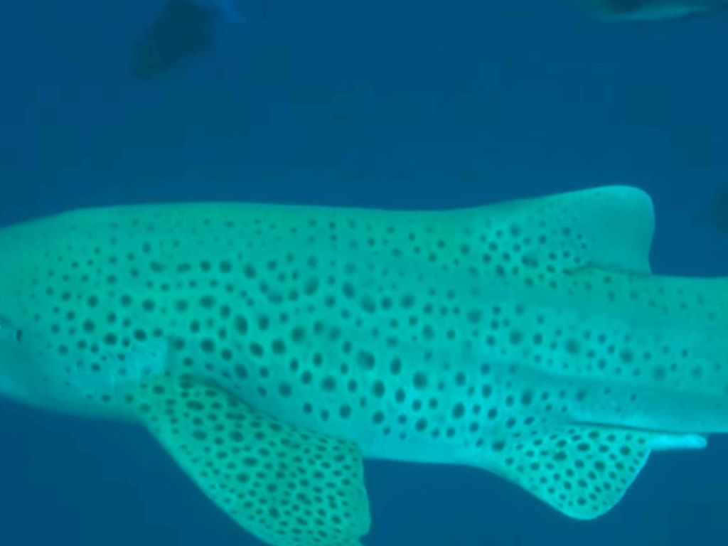 6b880f85-53bb-4526-92ee-79a6907a1644