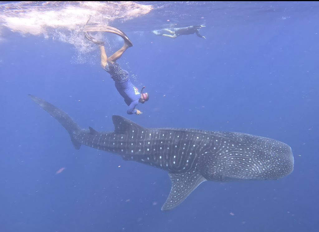 a4d89592-03ce-4f48-802b-afd3d64b1928