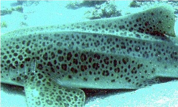 df88d6d6-e1c8-4e9c-853c-ead5c9b980ae