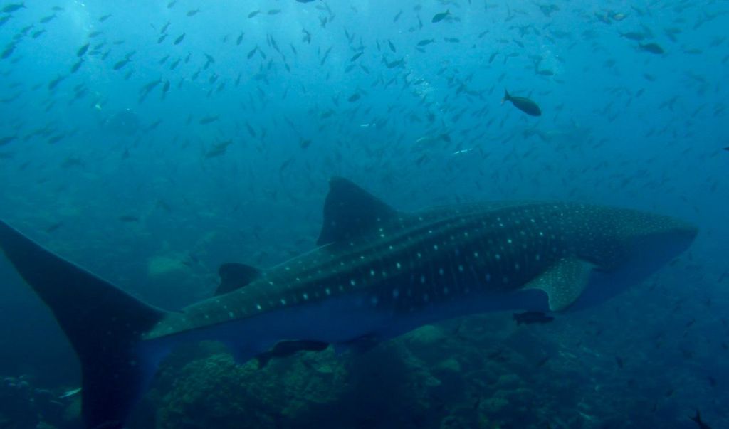 2bb1e51d-2d4e-4b79-8df7-2aac6831cd7f