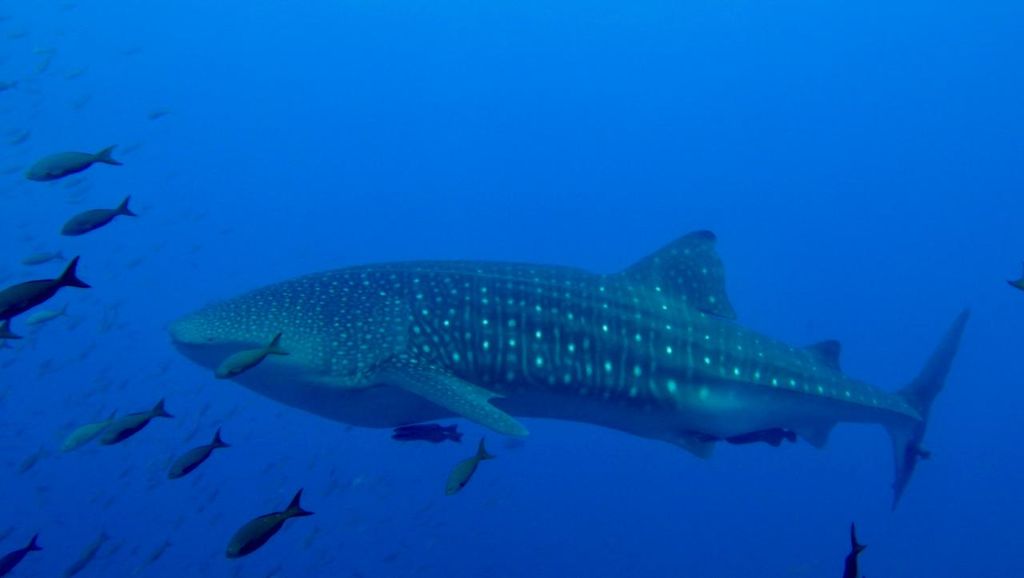 2bb1e51d-2d4e-4b79-8df7-2aac6831cd7f