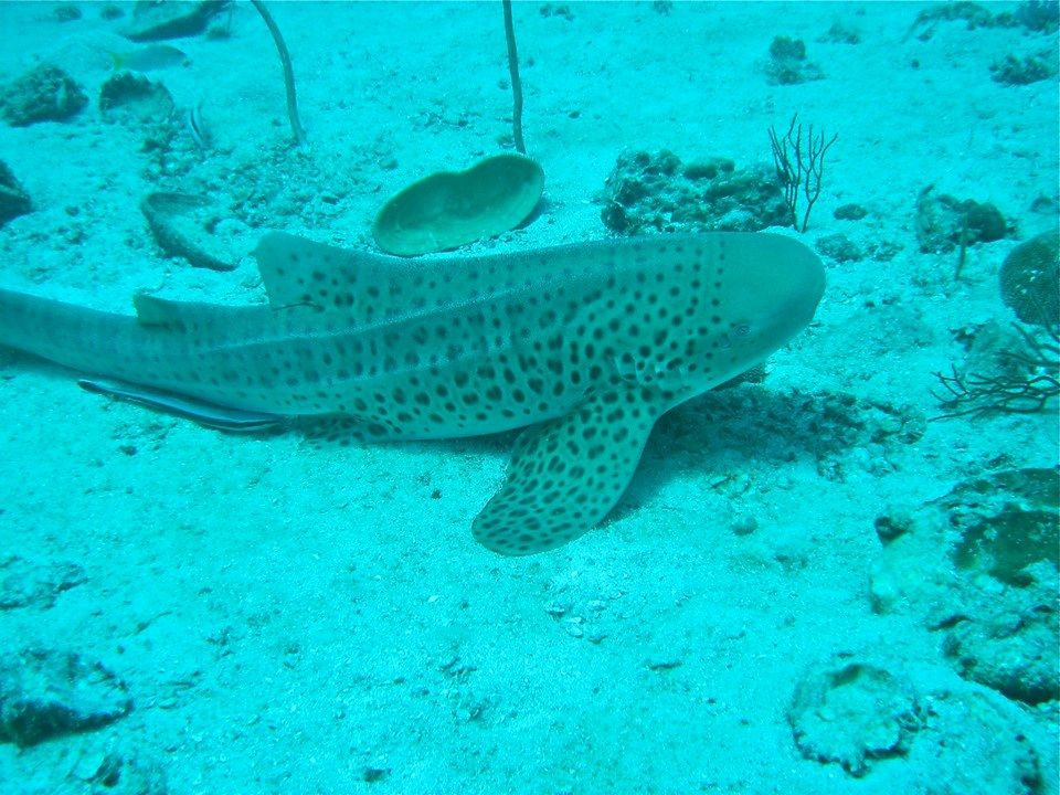 f7a6ac3b-14cb-403b-8139-6f5eb4b43c11