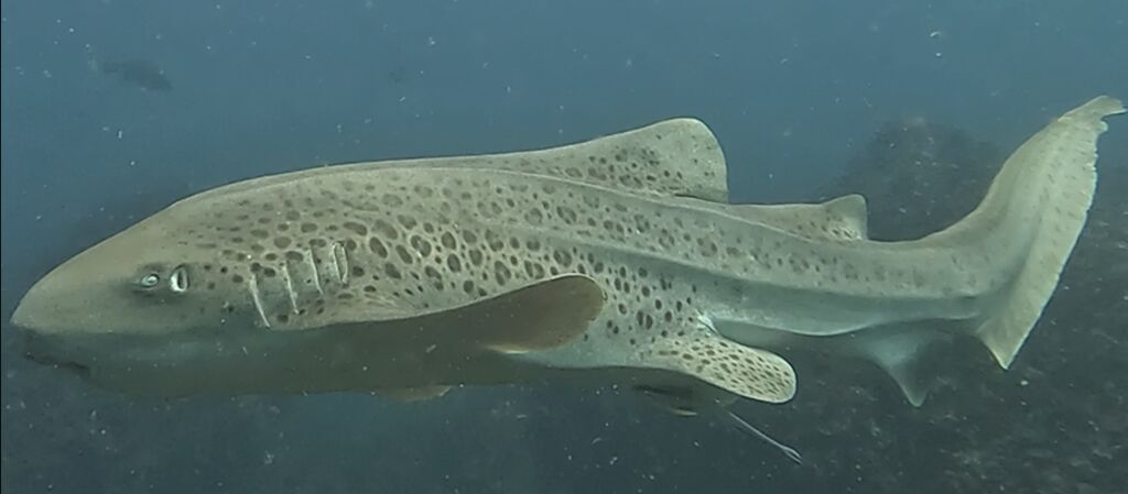 38dd4468-70c7-4c0f-ba1a-373f43ea2d6d