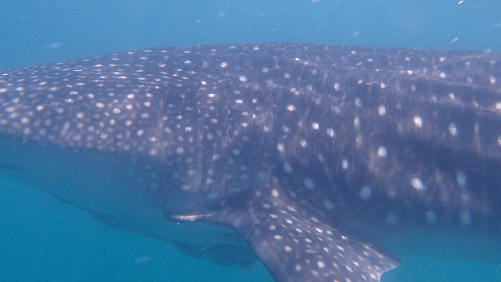 8491dca2-c1f8-4eee-bfc7-c602f24c3130