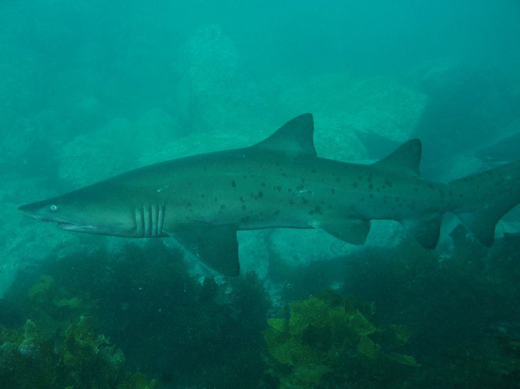 95a439d9-8822-470a-b7f7-aa557dec9eb1