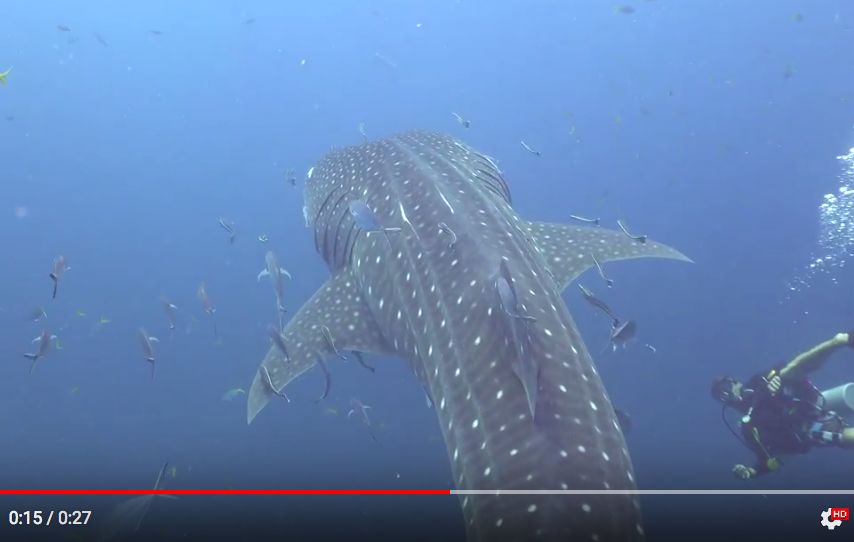 d1bd4bb2-6d9c-4a8d-b204-9e66a5c3bc9e