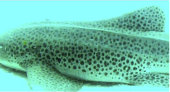 10418616-37dc-4ca5-ba17-5631d6e1a276