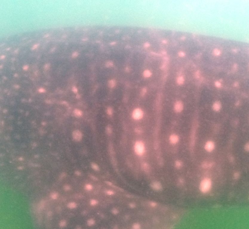 837f39bc-6314-4a2c-815a-36076ddf357d