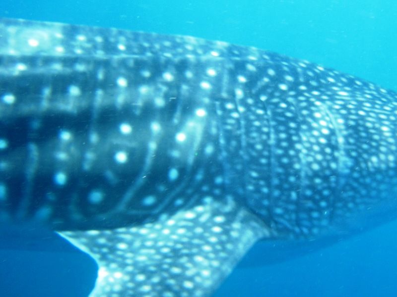 c0480d1d-9c41-4851-991d-fd113d351343