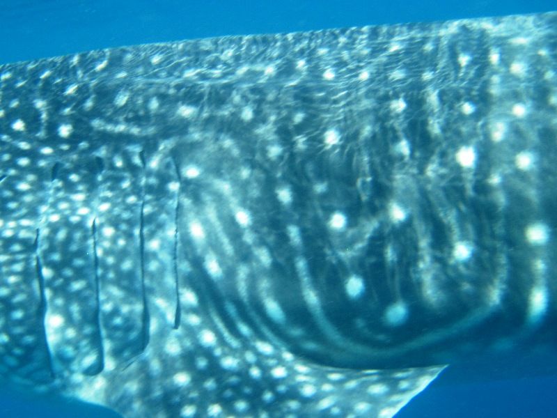 c0480d1d-9c41-4851-991d-fd113d351343