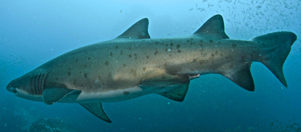 8dc92cfb-33e8-4a14-9ce8-8dd9f512023c