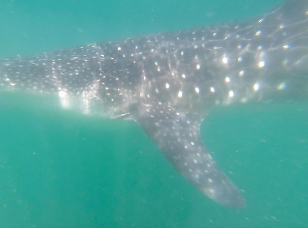 d57df192-d1e4-4a82-a11e-c77b026a4295