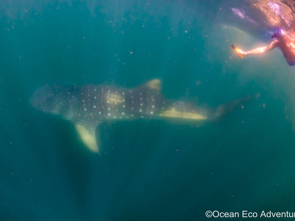 b320d782-e0fe-4da1-91b5-656493410df9