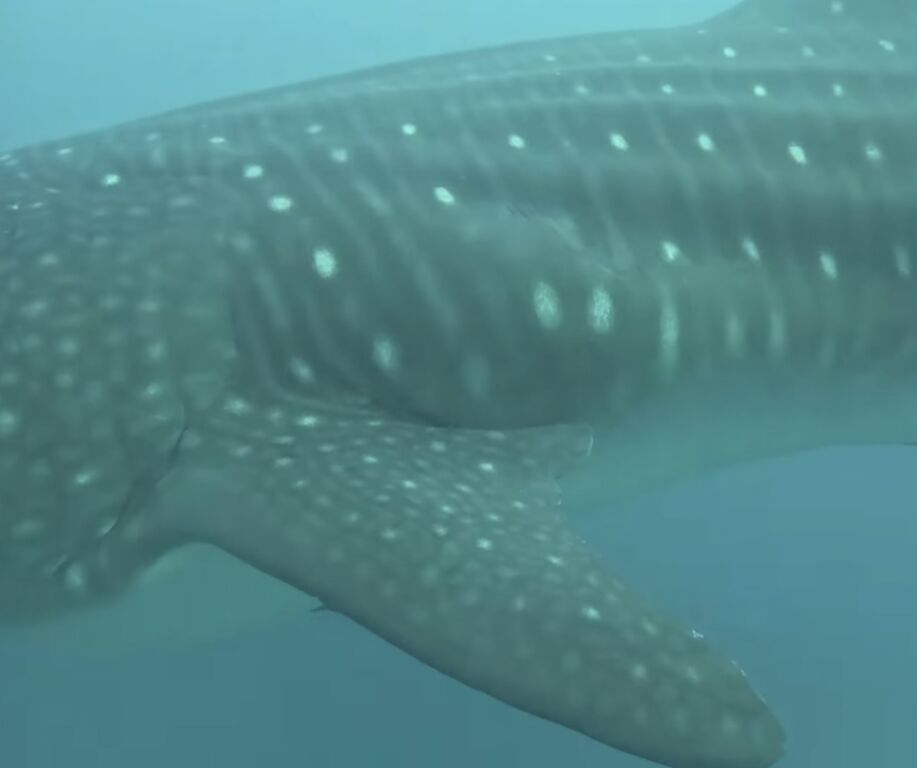 591656fb-2846-4c61-9d7a-75ecbc6de45d