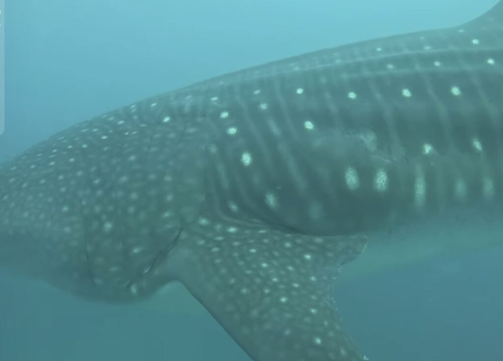 591656fb-2846-4c61-9d7a-75ecbc6de45d