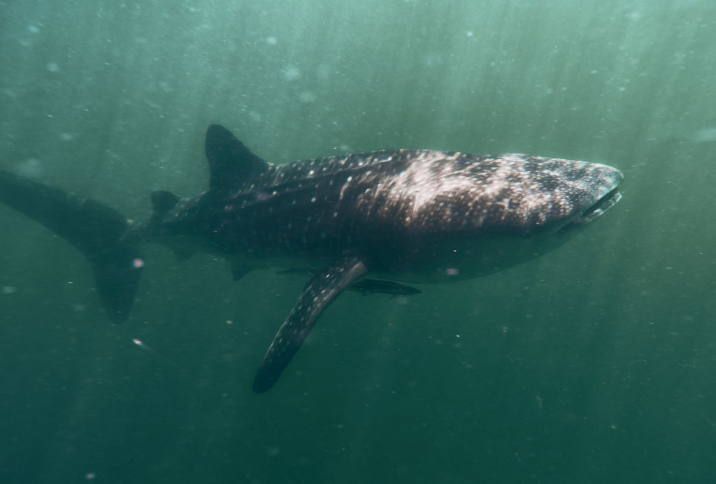 8057bb1b-6665-4ed6-ba0a-5060868c031d