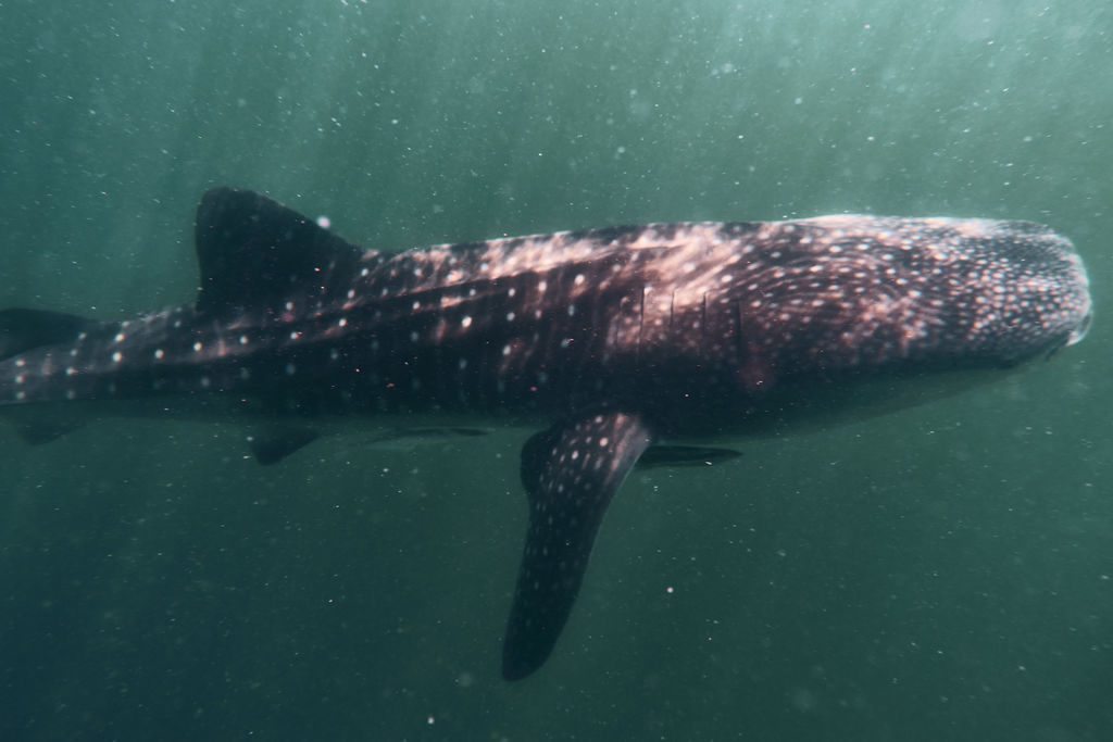 8057bb1b-6665-4ed6-ba0a-5060868c031d