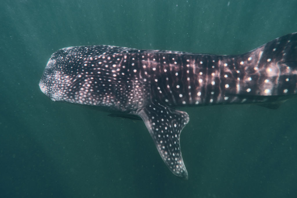 8057bb1b-6665-4ed6-ba0a-5060868c031d