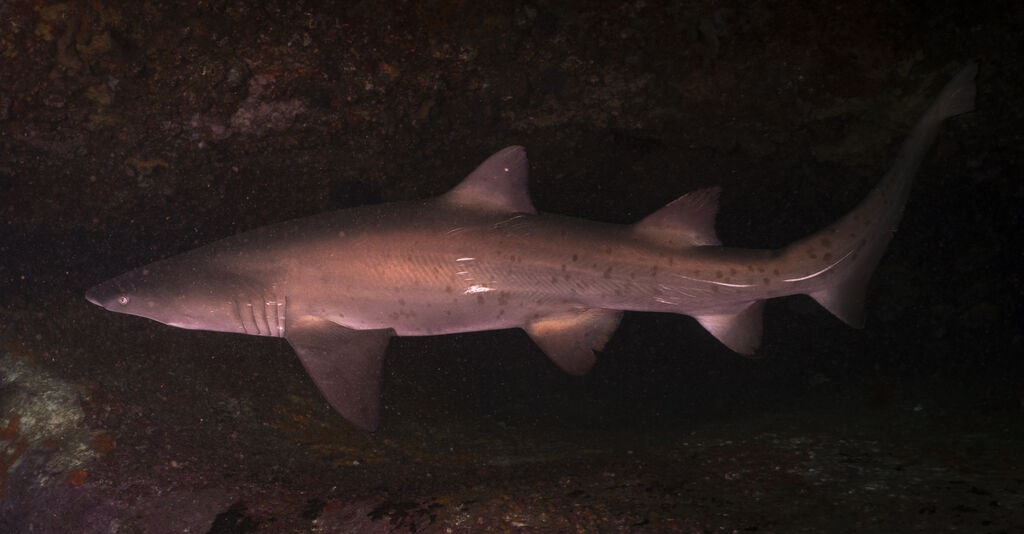 acdf8dd6-1144-4848-bdc6-e4a3c833b675