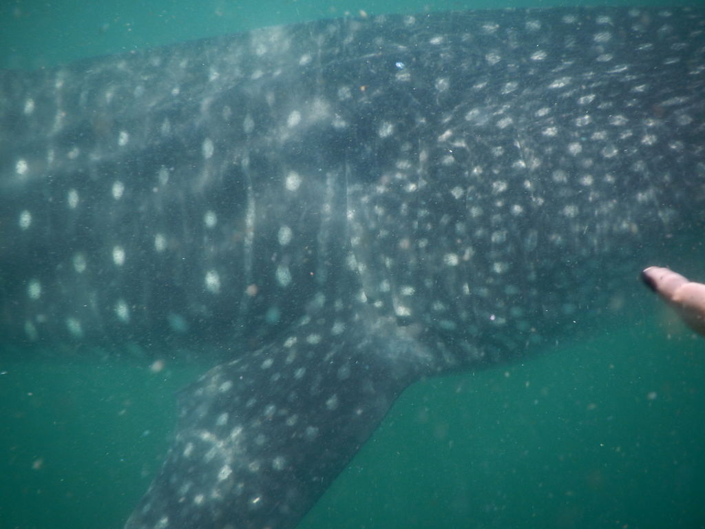 3efbed31-b57c-4ebf-be5f-60a729219c36