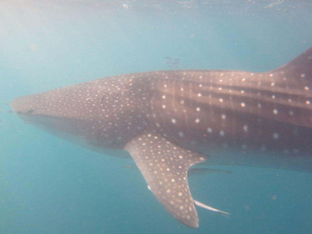 515d0a05-df74-4f85-93a8-4dc17f1d2359