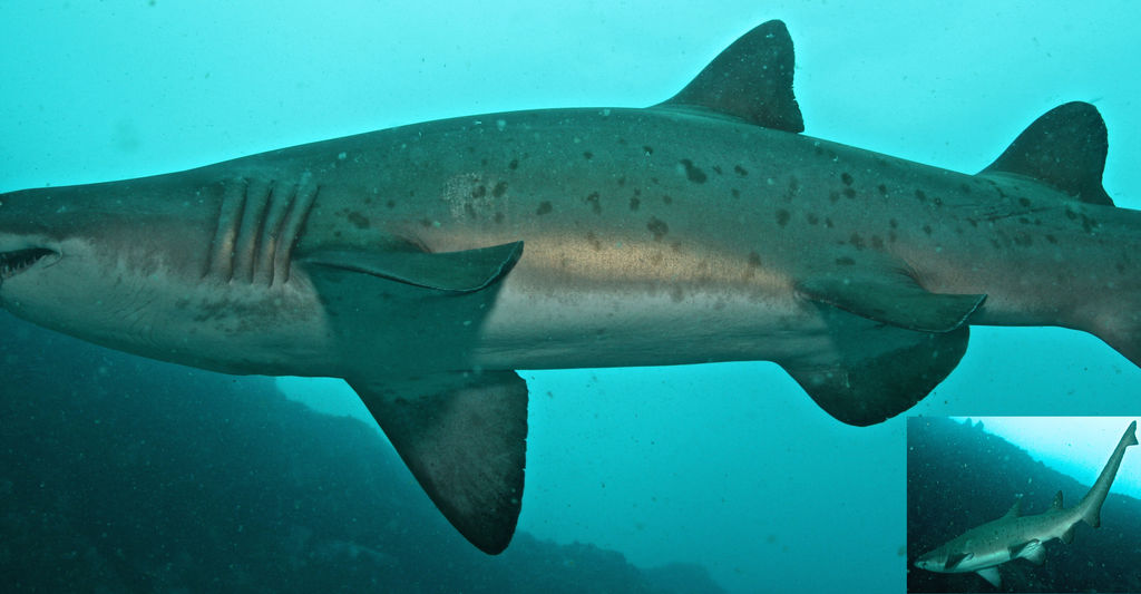 02eb7a49-5391-4e71-a5f7-c216e6745e18