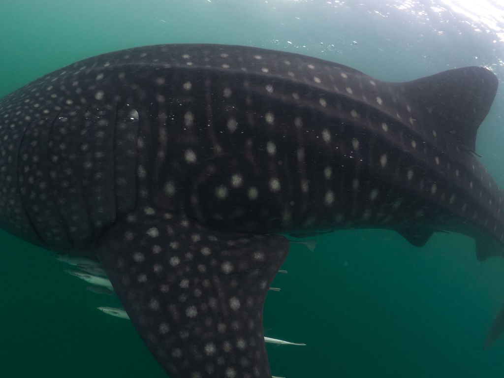 396e1e26-fb16-46ad-ad17-ae3cfad1b0f2