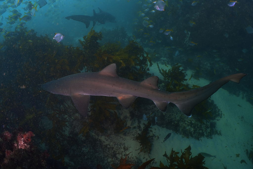 bfdb1ea9-500c-48c3-b1a8-e300236d7229