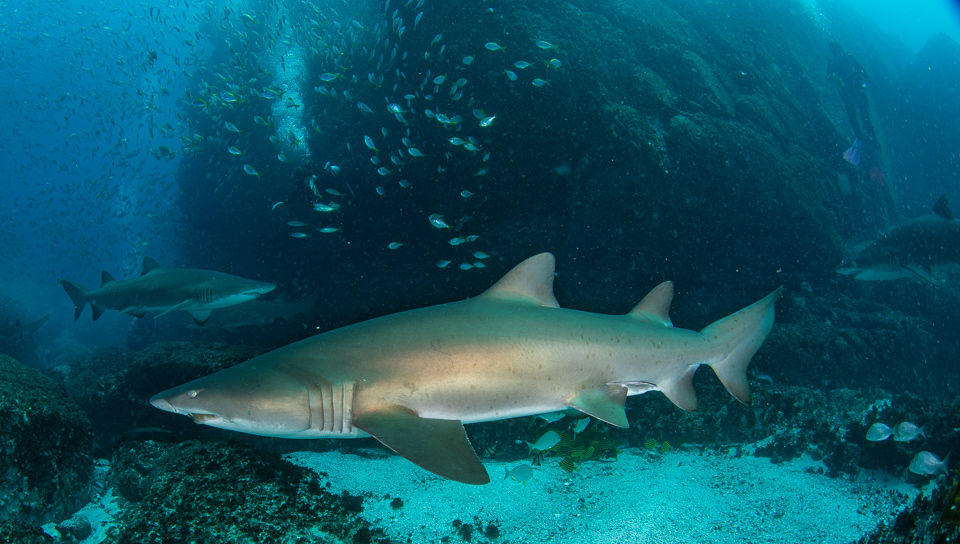 b4f236a3-157e-4e0a-8c6f-ead93eb4b9b0