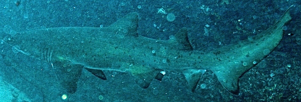 c3e8f737-751d-4afd-8fca-86c69d05ecb2