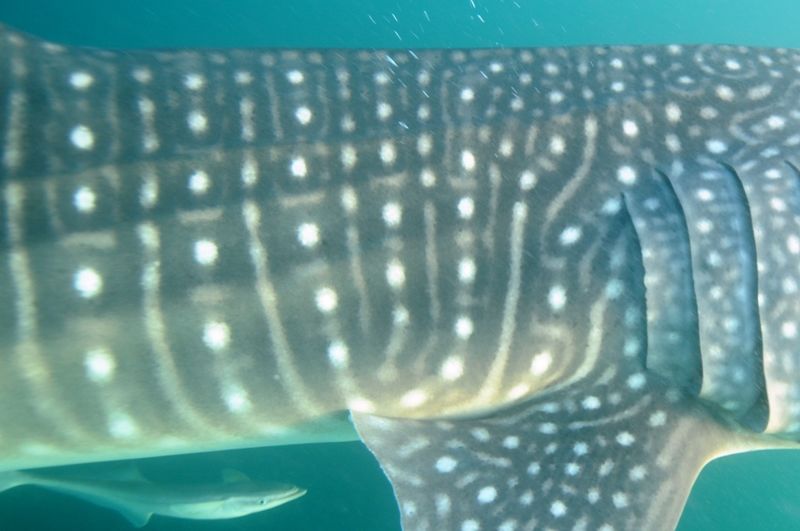 89a3af34-d975-4729-8060-17bed8a7298b