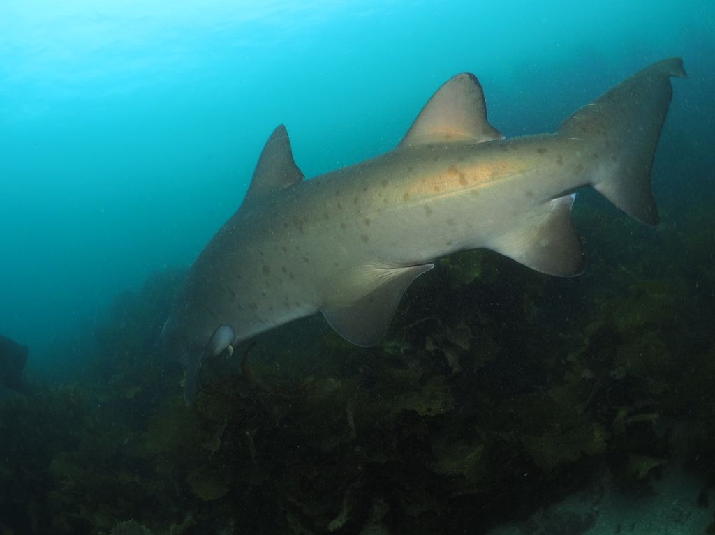 b3edd3de-ad78-443e-94d8-b252c4d0818b