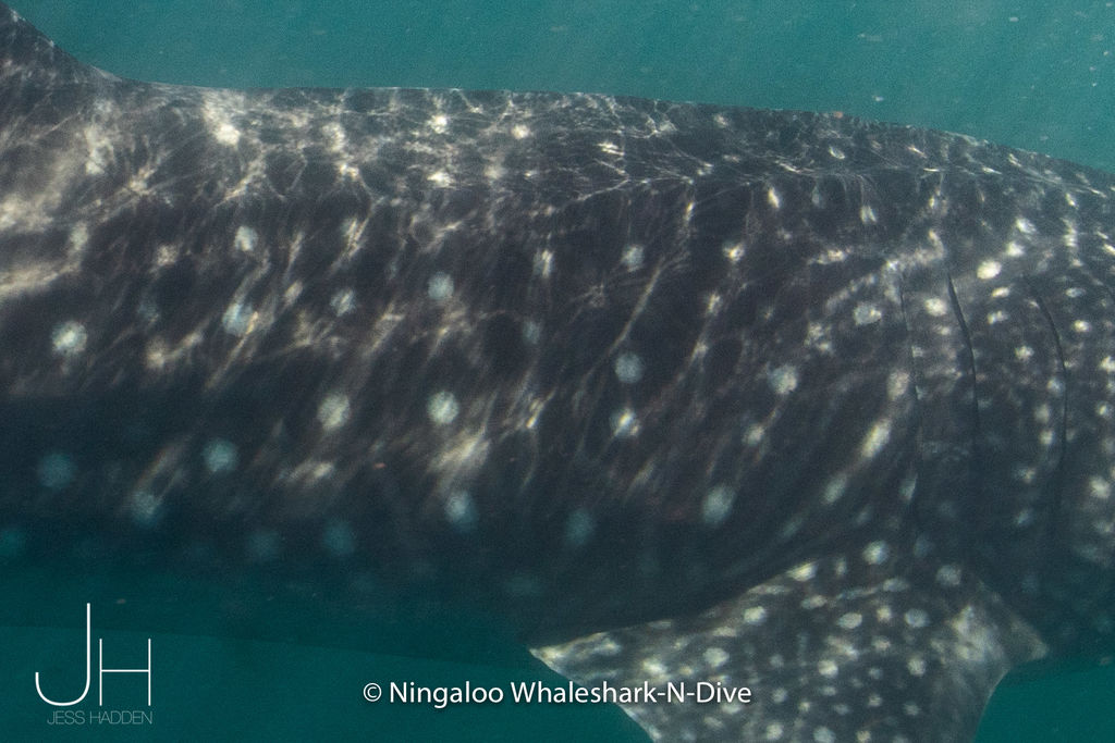 3e749d28-9976-4110-9cc4-5b325b2e8f85