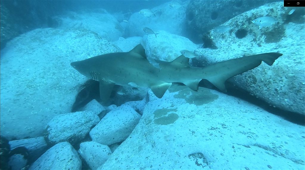 1ef8750a-d0dc-4cb1-9f42-e2041fe2d83e