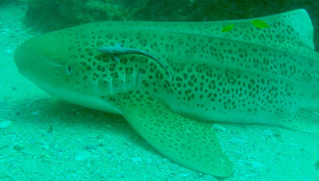 bed14ba9-b52c-4928-96bb-40324b70c563