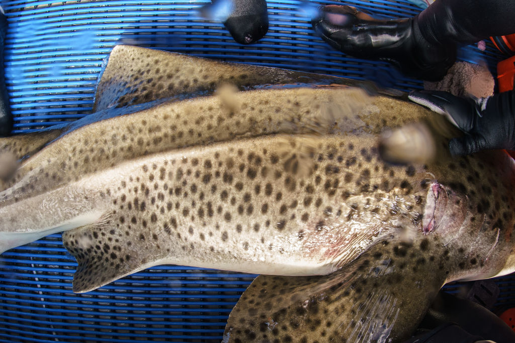 1a8ffb1a-5cd2-4843-a685-dfd56ec8789b