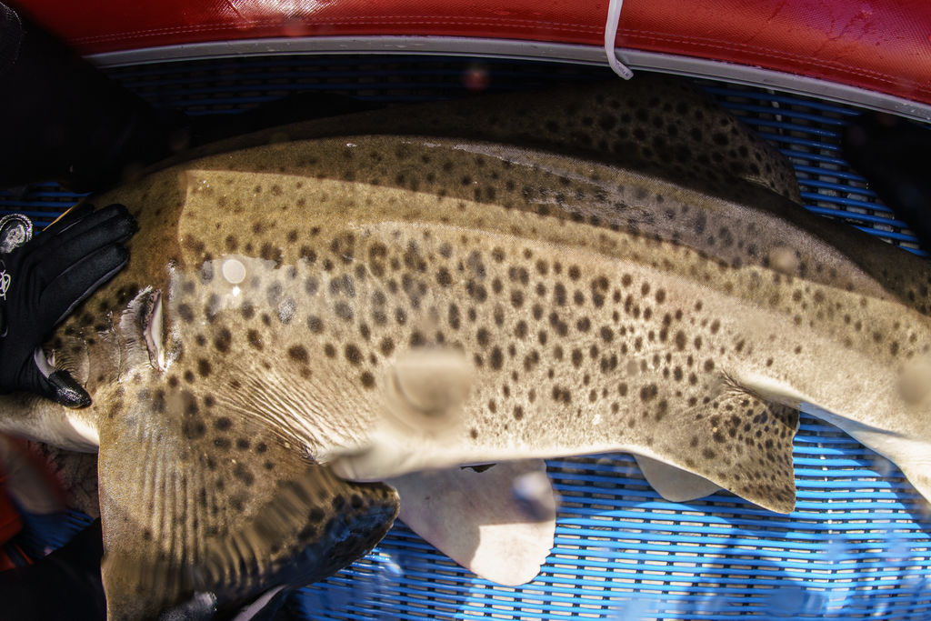 1a8ffb1a-5cd2-4843-a685-dfd56ec8789b