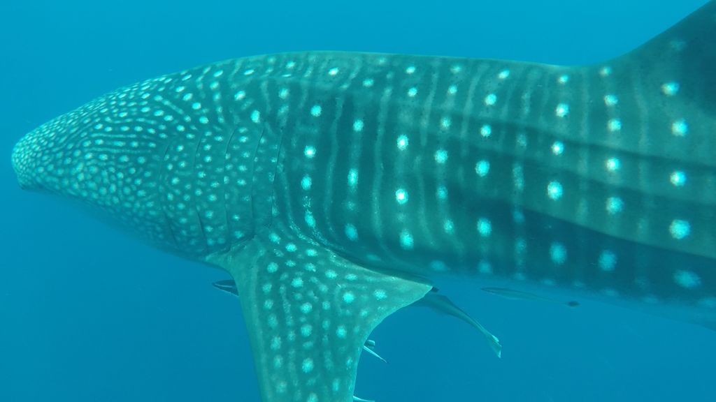 78e95ba4-5767-4577-ac64-7c2605f1b2f7