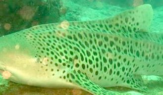 9532a6b1-3f7d-4207-a995-93ef13cccb87