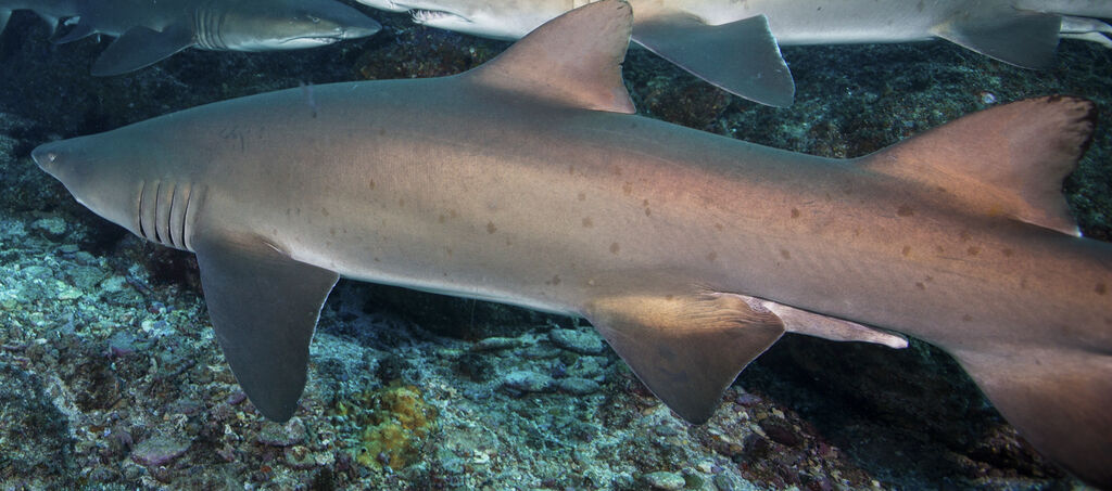 543ad930-07d0-4868-af76-ef55df55ea6a