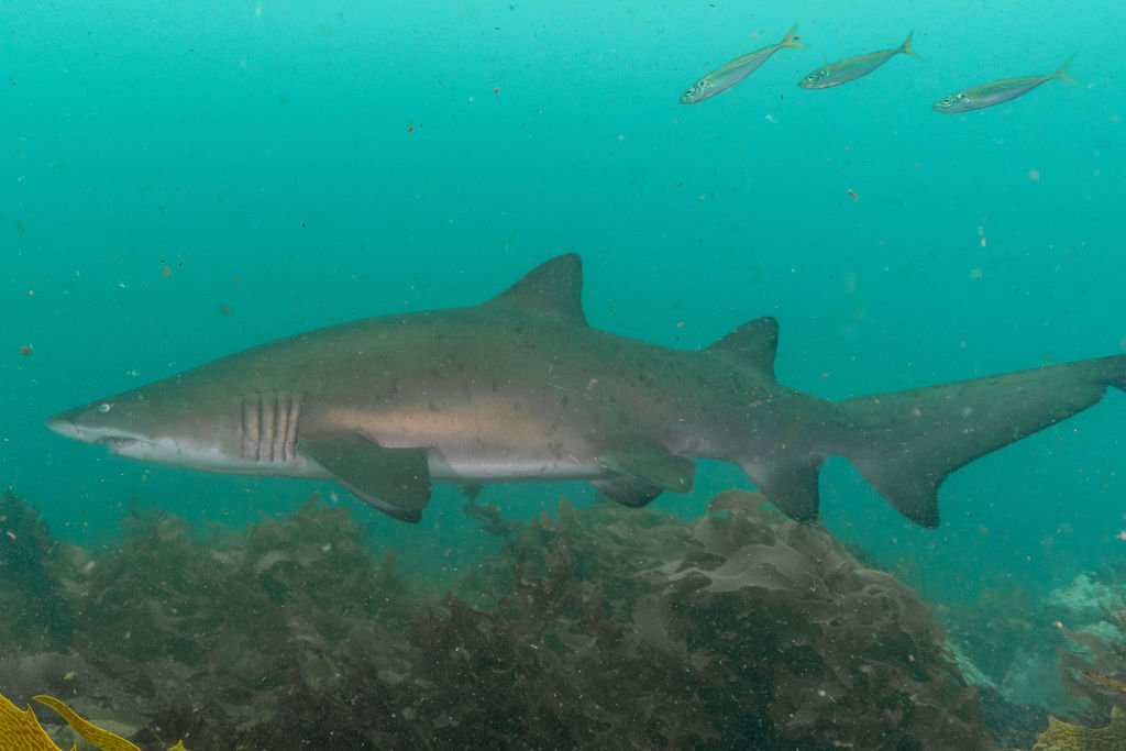 9b8c2b50-4359-4a8f-aa05-084c9928eb25