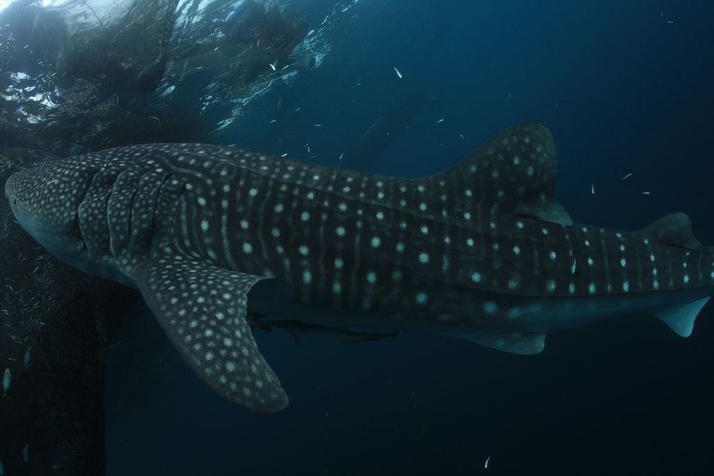 8c930f59-f23b-4f86-aeb9-c84c02867b6c