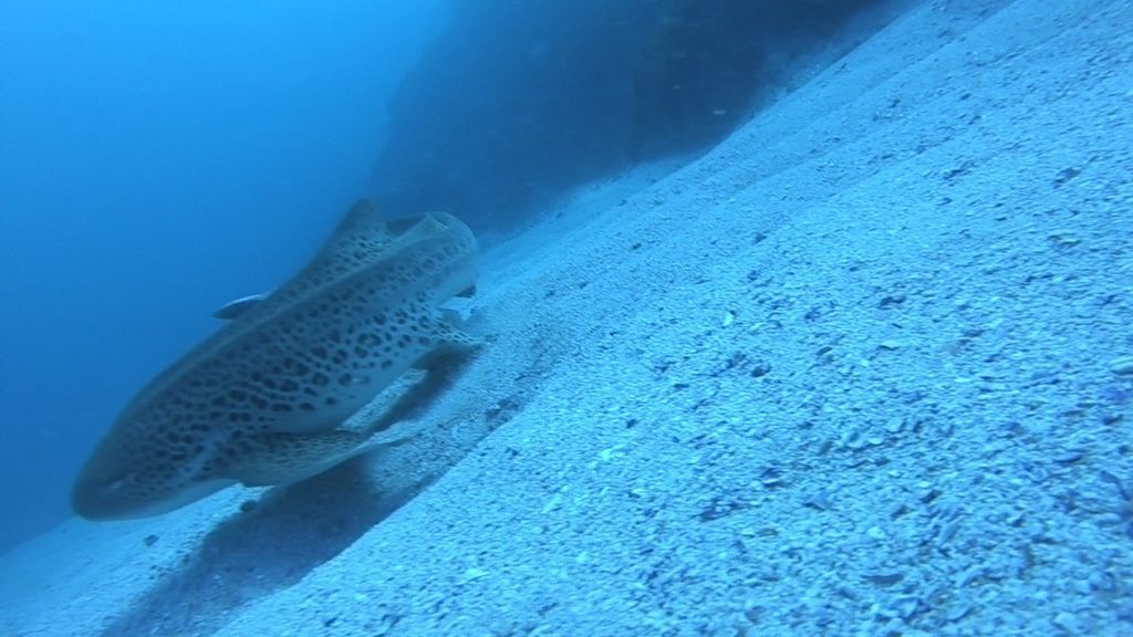 c1b5f719-3e17-4c09-bc87-e79630fc9045