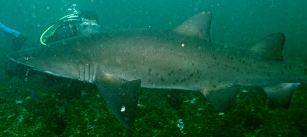 9bc91f09-9c4a-49d1-977b-ee7094f40d79