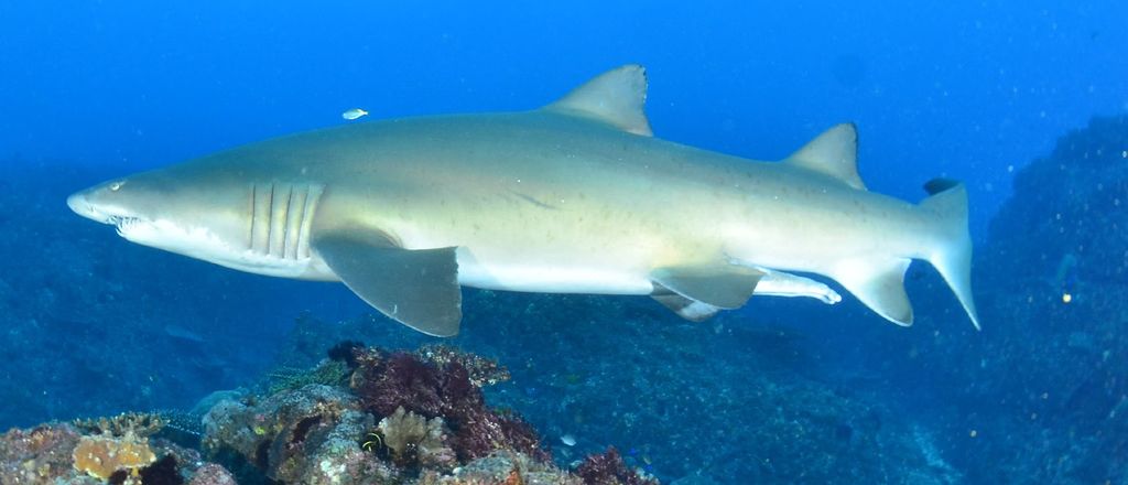 8cc6f721-0e35-458f-b24c-1124da6de703