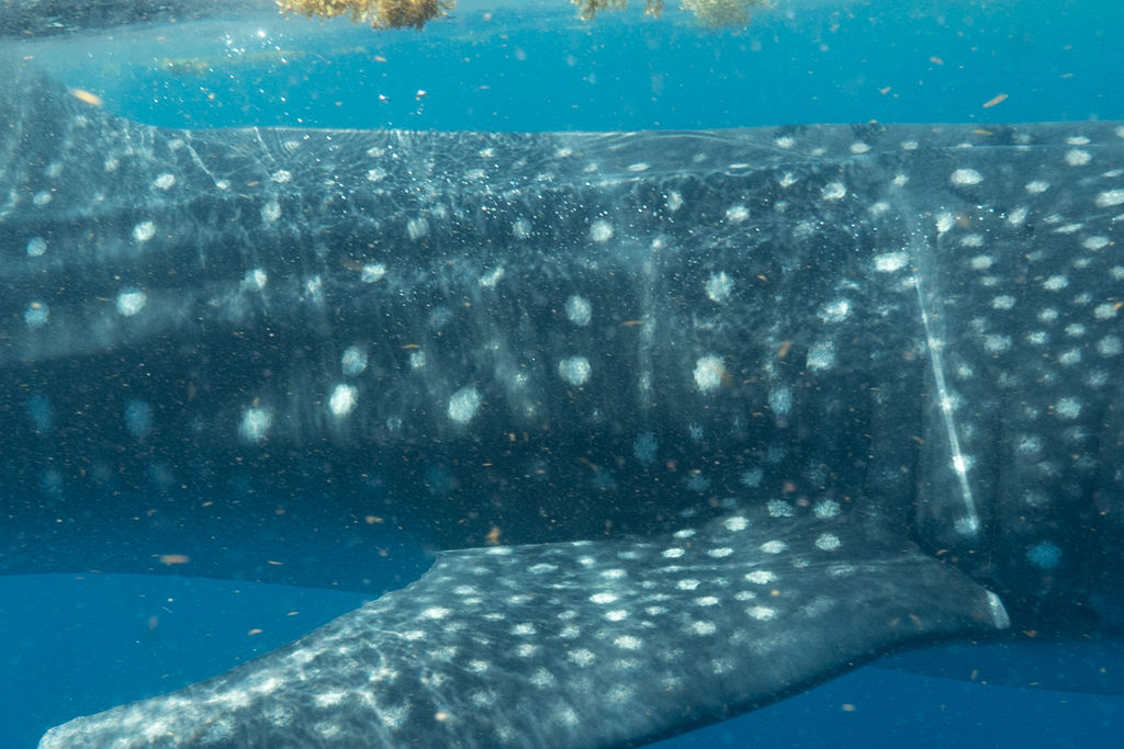 d9cba934-4a68-4f60-9dd6-6f8d0580804c