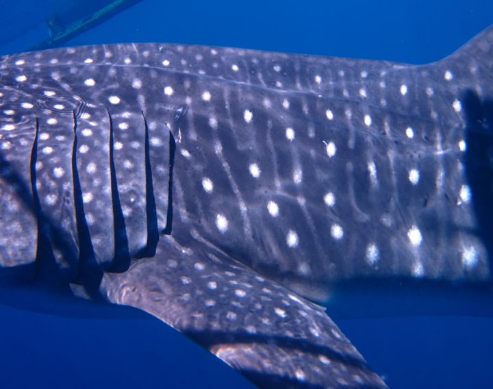 3a22bf2c-346b-4b7e-afae-0133dbae71d0