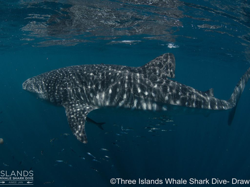 390a0220-5730-4f62-b0e9-7c68275ff6e8