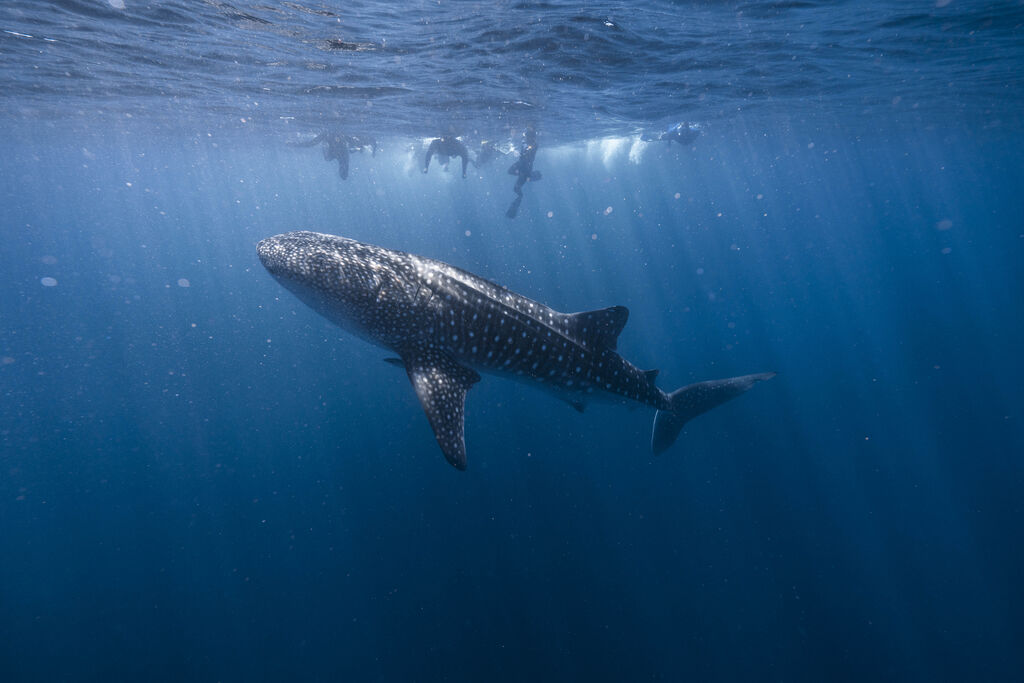 f6db7ccc-f1ff-4421-b5c5-4f98e36bb928